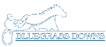 Ladies Day