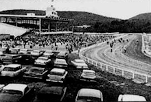 Turf Paradise