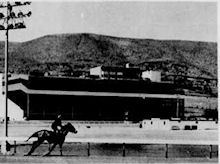 Turf Paradise