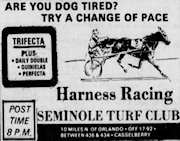 Turf Paradise
