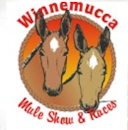 Winnemucca Mules